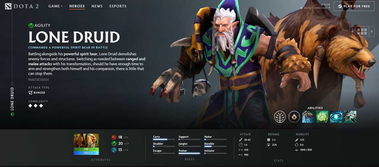 داستان هیروی Lone Druid
