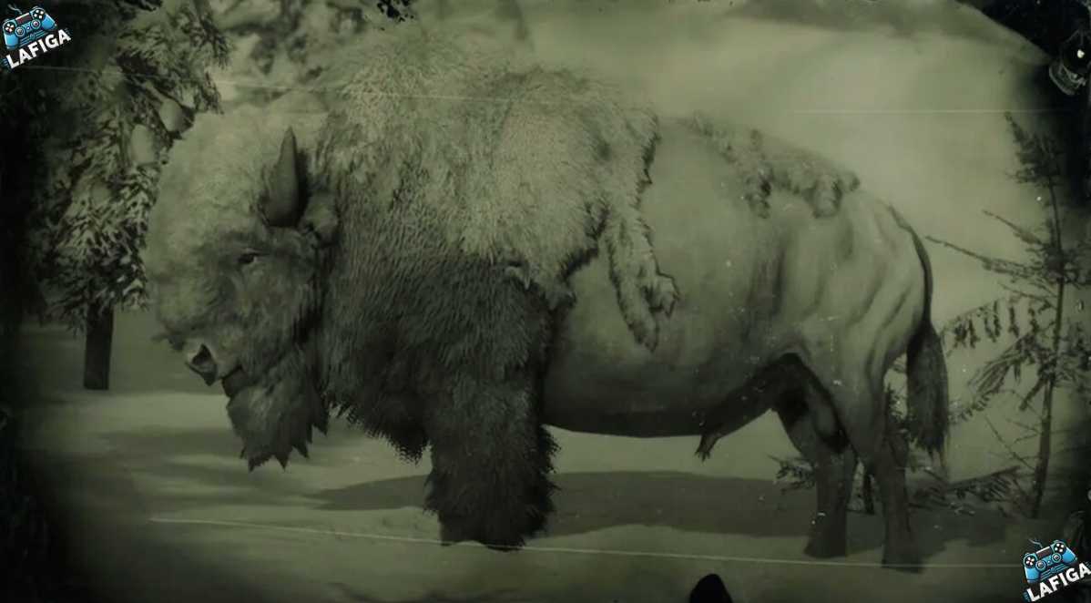 Perfect Pelts