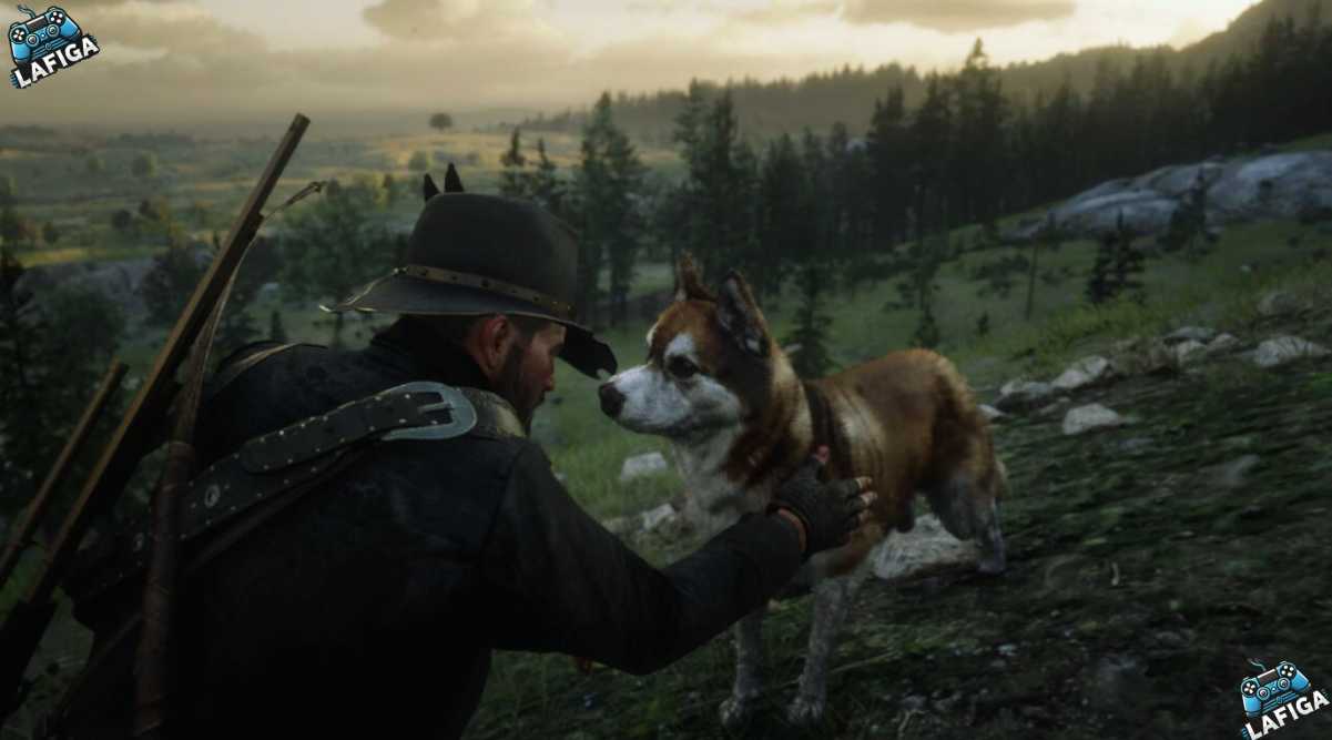 Dog Companion